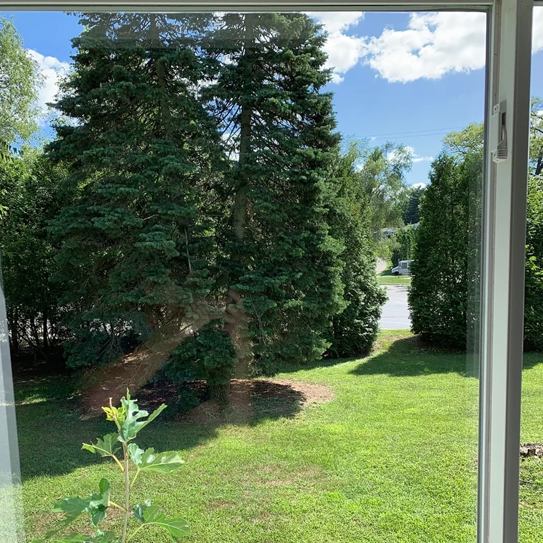 After: interior window cleaning before and after Allendale MI